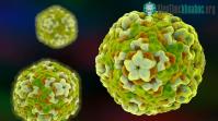 Ảnh Mỹ cảnh báo loại virus nguy hiểm có thể gây liệt ở trẻ em