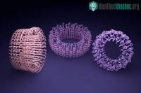 Ảnh AI đã giúp con người tiến xa hơn về công nghệ sinh học về việc phát minh ra một loại protein hoàn toàn mới!