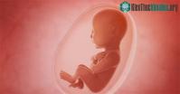 Ảnh Phát hiện được bằng chứng đầu tiên về phản ứng với mùi vị của thai nhi