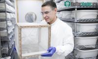 Ảnh Các nhà khoa học cho hay: Muỗi biến đổi gene không truyền bệnh sốt rét
