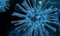 Ảnh Một loại virus khỉ khác đang sẵn sàng lây sang người