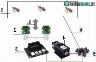 Ảnh Khoa học chế tạo thành công vũ khí laser điều khiển bằng AI để truy sát gián, sinh vật cứng đầu nhất hành tinh