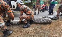 Ảnh Bắt sống trăn gấm khổng lồ dài 5,9m sau khi nuốt chửng dê nhà