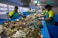 Ảnh Xu thế coi phế thải là tài nguyên tại Dubai