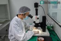 Ảnh Chiêm ngưỡng hình ảnh chi tiết chưa từng có về đất Mặt trăng