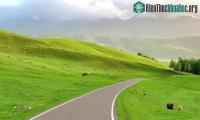 Ảnh Video: Cận cảnh đồng cỏ hơn 3.000 năm tuổi đẹp tựa cõi mơ ở Trung Quốc