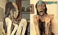 Ảnh Phân tích xác ướp nghìn năm của nạn nhân bị đánh tới chết