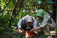 Ảnh Bông hoa lớn nhất trên thế giới lần đầu tiên nở trong vườn sinh vật ở Indonesia