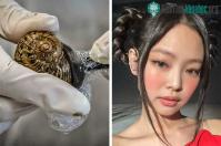 Ảnh "Bí thuật" làm đẹp của phụ nữ nhiều nước trên thế giới