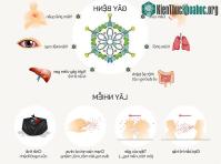 Ảnh Adenovirus làm lây nhiễm cho trẻ nhỏ như thế nào?