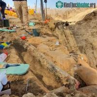 Ảnh Phát hiện tàn tích siêu quái vật cổ đại 13 tấn bị loài người khác "hạ thủ"