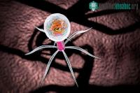 Ảnh Nghiên cứu mới cho thấy: Virus vừa có thể nghe và xem chúng ta