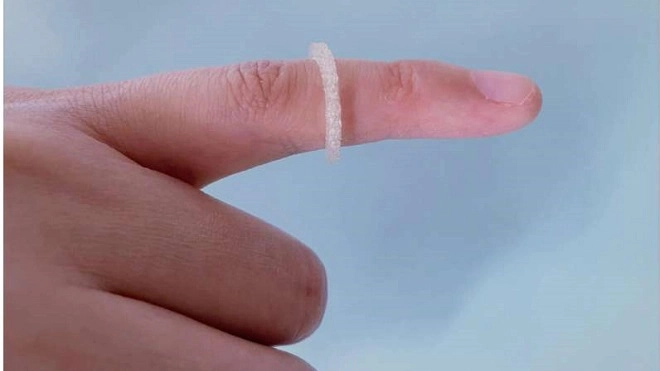 Ảnh Bước đầu thử nghiệm thành công trong vòng chống côn trùng sản xuất bằng máy in 3D