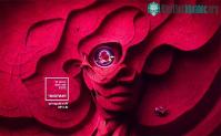 Ảnh Pantone công bố màu chủ đạo của năm 2023: Sắc đỏ Viva Magenta