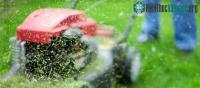 Ảnh Các nhà khoa học tìm ra cách biến cỏ thành xăng chỉ trong vài tuần