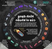 Ảnh Hình dạng vi khuẩn sống cổ đại nhất hành tinh xuất hiện 3,8 tỷ năm trước