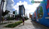 Ảnh "Ba triệu chai nhựa" trút xuống thành phố Auckland của New Zealand chỉ trong một năm