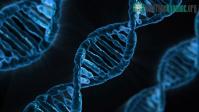 Ảnh Bà mẹ này đã suýt đã mất quyền nuôi con vì DNA siêu hiếm!
