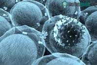 Ảnh Sông băng vĩnh cửu Tây Tạng tan chảy, lộ ra virus cổ đại với 15.000 năm tuổi chưa từng được biết đến