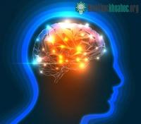 Ảnh Con người thông minh, sáng suốt hơn sau khi "chết hụt"?