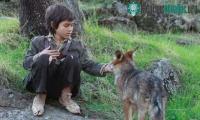 Ảnh Marcos Rodriguez Pantoja: Người đàn ông được những con sói hoang dã nuôi dưỡng trong 12 năm