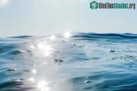 Ảnh Kết quả nghiên cứu mới về Vật chất tối ở đại dương