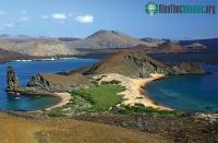 Ảnh "Vũ khí bí mật" giúp Galápagos chống lại biến đổi khí hậu