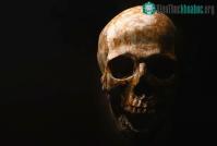 Ảnh Tìm thấy loài người "ma" bí ẩn tại Tây Phi