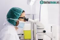 Ảnh Hy vọng mới trong việc điều chế ra vaccine phòng chống viêm gan C