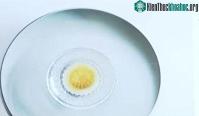 Ảnh Nhật Bản tạo ra gan ngỗng nhân tạo có hương vị giống như thật
