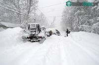 Ảnh Băng giá khắc nghiệt đã phủ khắp các quốc gia, hàng trăm người chết vì lạnh