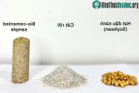 Ảnh Sinh viên Bách Khoa tạo ra xi măng sinh học từ hạt đậu nành