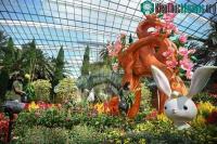 Ảnh Cộng đồng người châu Á ở khắp thế giới đón Tết Nguyên đán