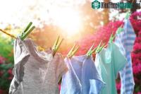 Ảnh Top 6 mẹo ''giải cứu'' quần áo mùa nồm không phải ai cũng biết: cứ áp dụng là không còn mùi hôi