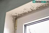 Ảnh Cảnh giác thứ nguy hiểm xuất hiện ở khắp nơi khi thời tiết nồm ẩm kéo dài