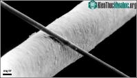 Ảnh "Giải ngố" bộ lọc chuẩn HEPA hạn chế được nồm, ứng dụng trong xe điện Tesla và cả máy lọc không khí Dyson
