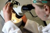 Ảnh Phát hiện đột phá trong điều trị ung thư