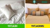 Ảnh Top 8 sự thật ngẫu nhiên về vạn vật xung quanh chúng ta, tưởng quen thuộc nhưng lại chẳng hề hay biết