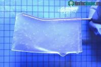 Ảnh Hydrogel tái tạo mô tế bào thần kinh não sau khi bị tổn thương