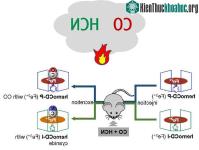 Ảnh Phát hiện ra hợp chất có thể cứu sống các bệnh nhân bị ngộ độc khí