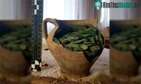 Ảnh Phát hiện ra bình chứa 1.000 đồng tiền vùi dưới đất 400 năm