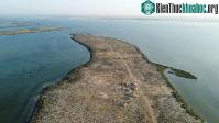 Ảnh Phát hiện ra thị trấn ngọc trai lâu đời nhất tại UAE