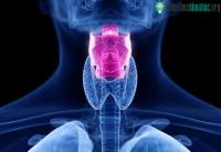 Ảnh Cổ họng nhân tạo thông minh hỗ trợ bệnh nhân mất dây thanh quản