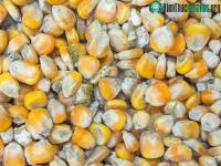 Ảnh 3 chất có thể gây ung thư hàng đầu ẩn náu xung quanh bạn
