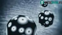 Ảnh Lần đầu tiên phát hiện neutrino "ma quái" năng lượng cao trong máy gia tốc hạt lớn nhất thế giới