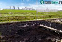 Ảnh Giải pháp trong việc sản xuất lương thực trung hòa carbon