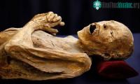 Ảnh Chuyên gia y tế cảnh báo, nấm trên xác ướp có thể lây sang người
