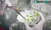 Ảnh Trung Quốc xây dựng chuỗi ngân hàng hạt giống để lưu trữ nguồn gene thực vật