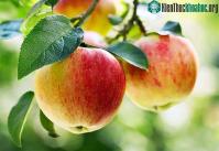 Ảnh Những thực phẩm cần ăn buổi tối chống "bách bệnh"