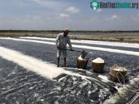 Ảnh Công nghệ xử lý đơn giản biến muối thô thành muối tinh
